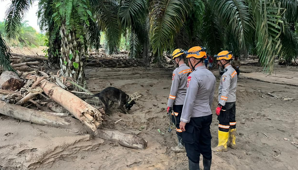Tim K9 Ditpolsatwa Baharkam Polri saat mencari Korban Bencana di Bantaran Sungai Huta Raja.