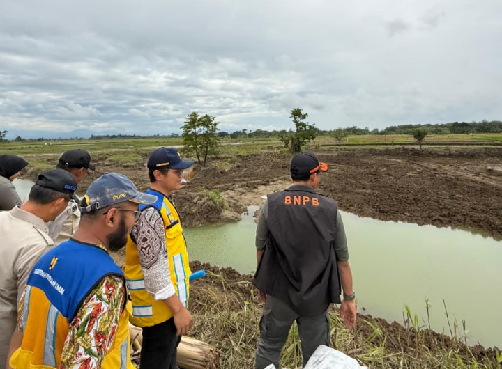 Kepala Badan Nasional Penanggulangan Bencana (BNPB) Letjen TNI Dr. Suharyanto, S. Sos., M.M. (kemeja hijau dan rompi hijau) saat meninjau progres perbaikan tanggul di Desa Tinanding, Kecamatan Kebonagung, Kabupaten Grobogan, Provinsi Jawa Tengah. Dok: Istimewa.