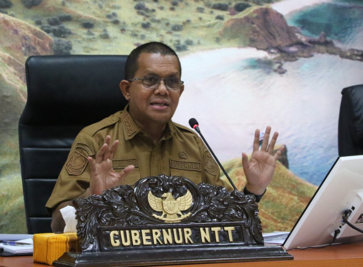Gubernur Nusa Tenggara Timur (NTT) Emanuel Melkiades Laka Lena. Dok: Istimewa.