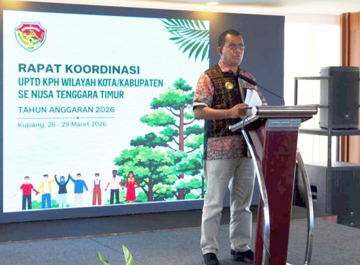 Gubernur Nusa Tenggara Timur (NTT), Emanuel Melkiades Laka Lena. Dok: Istimewa.