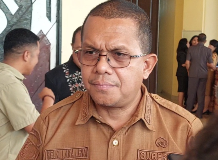 Gubernur Emanuel Melkiades Laka Lena. Dok: Istimewa.
