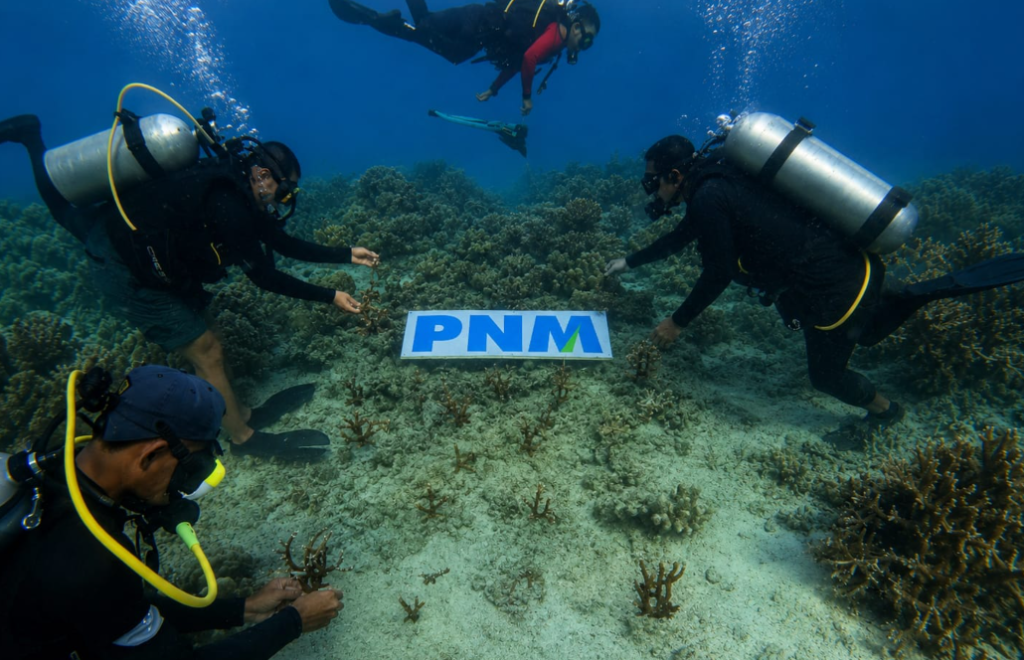 Dok: Humas PNM.