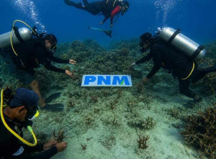 Dok: Humas PNM.