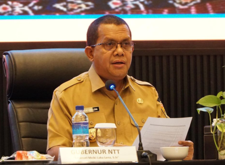 Gubernur Nusa Tenggara Timur (NTT), Emanuel Melkiades Laka Lena. Dok: Istimewa.