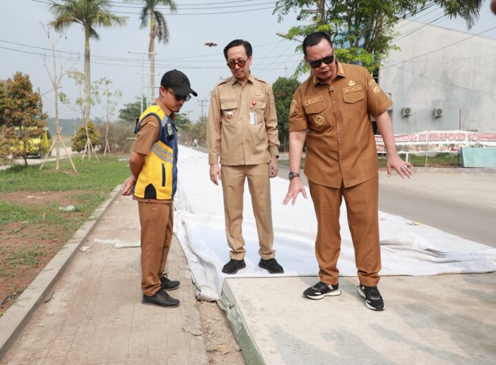 Dok: Istimewa.
