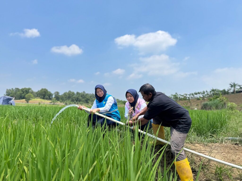 Program Electrifying Agriculture PLN membantu Kelompok Tani Berkah Sakabeh di Bekasi menjaga pengairan lahan melalui pompa listrik, terutama saat musim kemarau.