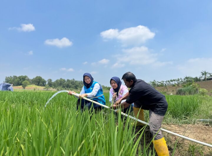 Program Electrifying Agriculture PLN membantu Kelompok Tani Berkah Sakabeh di Bekasi menjaga pengairan lahan melalui pompa listrik, terutama saat musim kemarau.